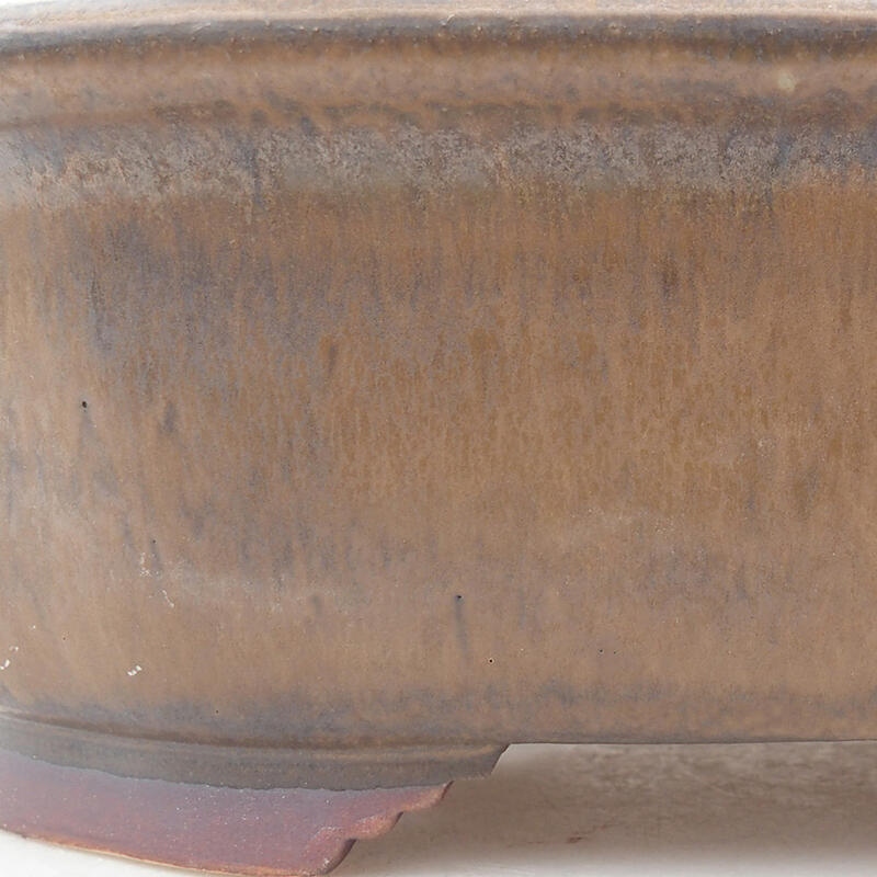 Cuenco bonsái de cerámica 25,5 x 22 x 7,5 cm, marrón