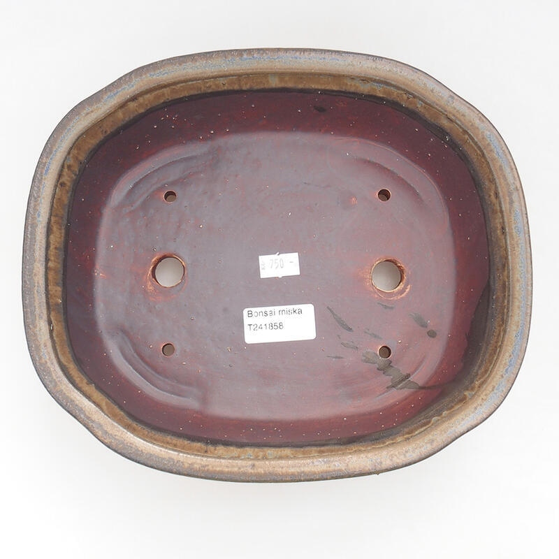Cuenco bonsái de cerámica 25,5 x 22 x 7,5 cm, marrón