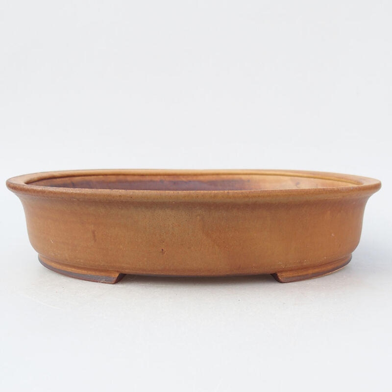 Cuenco bonsái de cerámica 26 x 23,5 x 5,5 cm, rosa