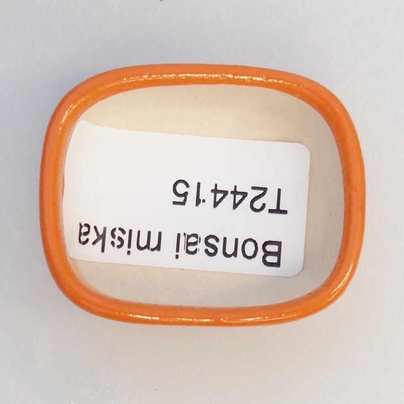 Cuenco bonsái de cerámica 4 x 3,5 x 1,5 cm, naranja