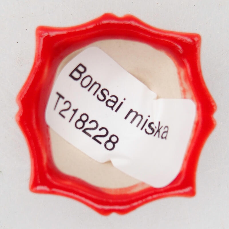 Cuenco bonsái de cerámica 4 x 3,5 x 2 cm, color rojo