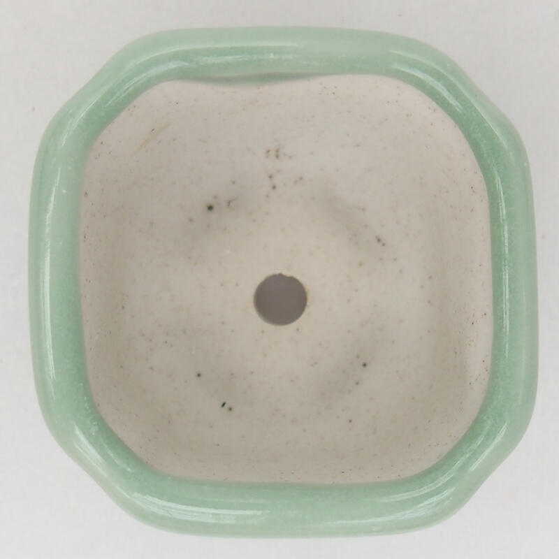Cuenco bonsái de cerámica 4 x 4 x 2,5 cm, verde