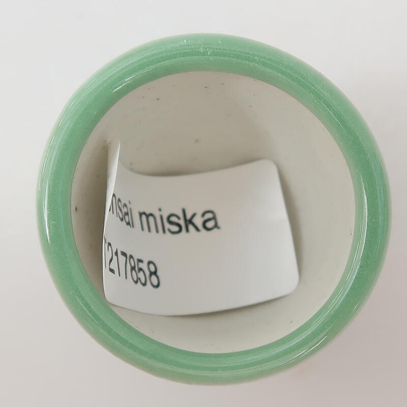 Cuenco bonsái de cerámica 4 x 4 x 3 cm, verde