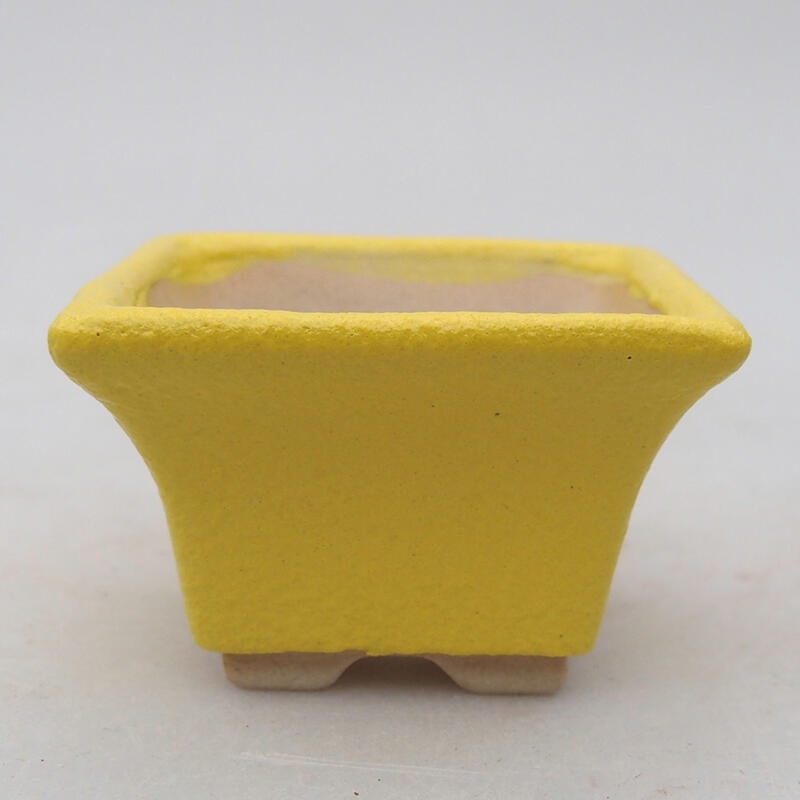 Cuenco bonsái de cerámica 5,5 x 5,5 x 3,5 cm, amarillo