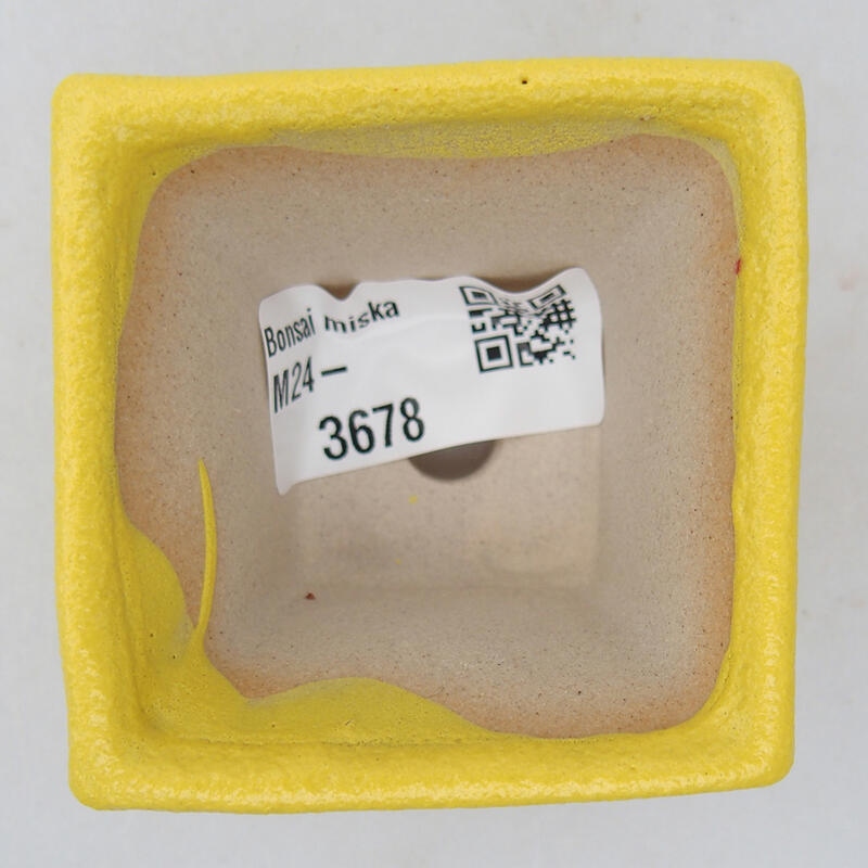 Cuenco bonsái de cerámica 5,5 x 5,5 x 3,5 cm, amarillo