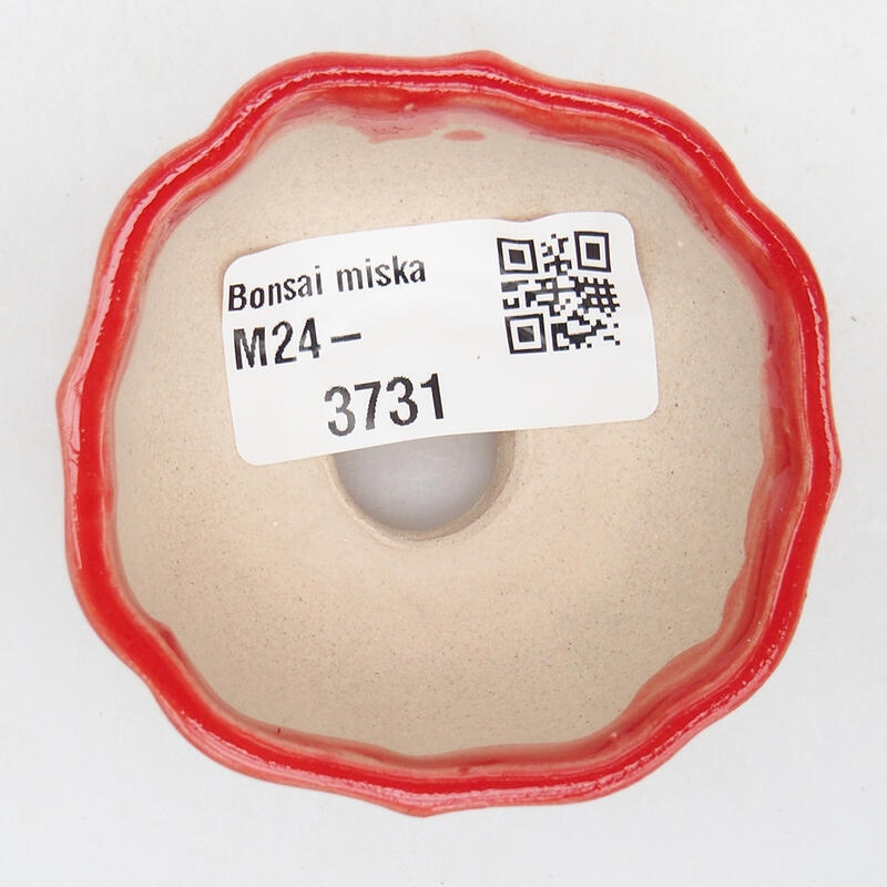 Cuenco bonsái de cerámica 5,5 x 5,5 x 3 cm, color rojo