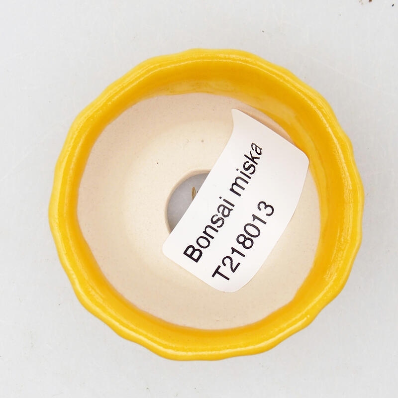 Cuenco bonsái de cerámica 5,5 x 5,5 x 3 cm, amarillo