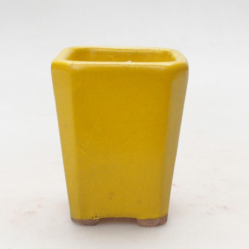Cuenco bonsái de cerámica 5,5 x 5,5 x 7 cm, amarillo