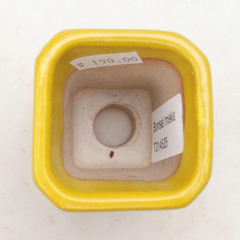 Cuenco bonsái de cerámica 5,5 x 5,5 x 7 cm, amarillo