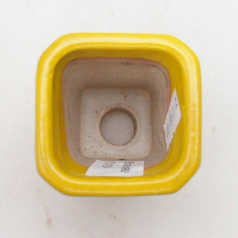 Cuenco bonsái de cerámica 5,5 x 5,5 x 7 cm, amarillo