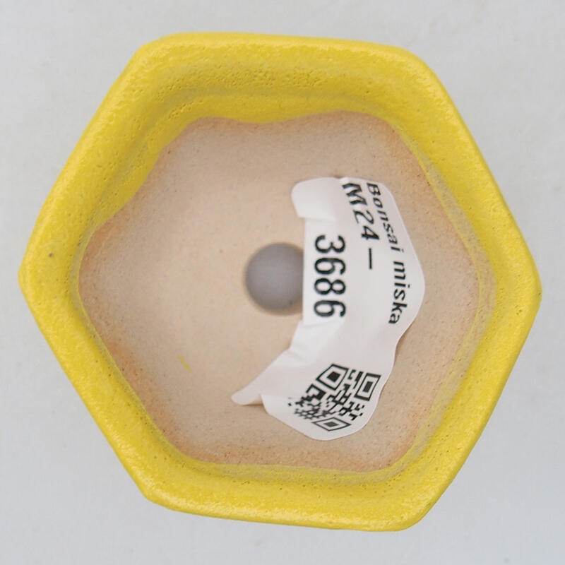 Cuenco bonsái de cerámica 5,5 x 5 x 3 cm, amarillo