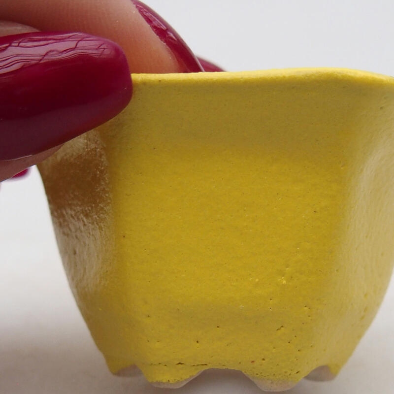 Cuenco bonsái de cerámica 5,5 x 5 x 3 cm, amarillo