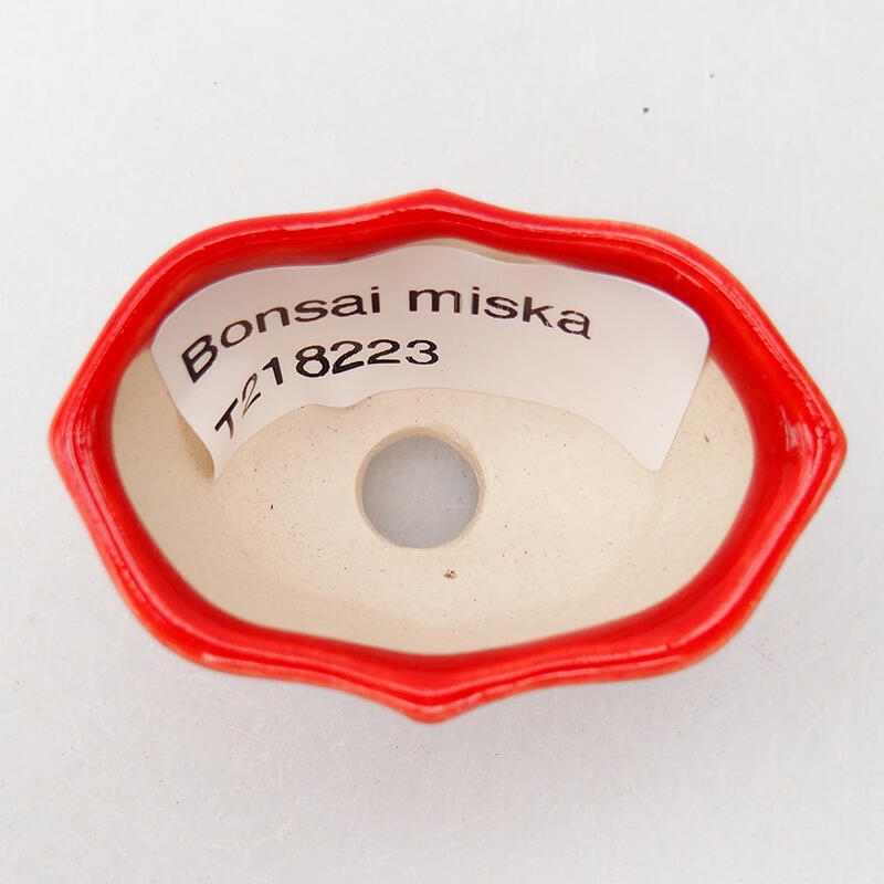 Cuenco bonsái de cerámica 5 x 3 x 2,5 cm, color rojo