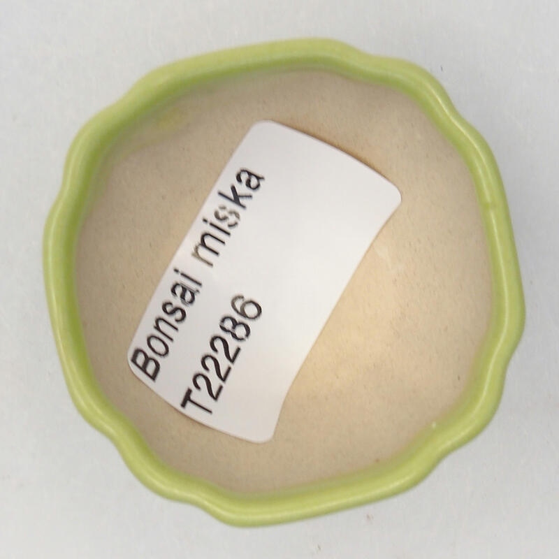 Cuenco bonsái de cerámica 5 x 5 x 2,5 cm, verde