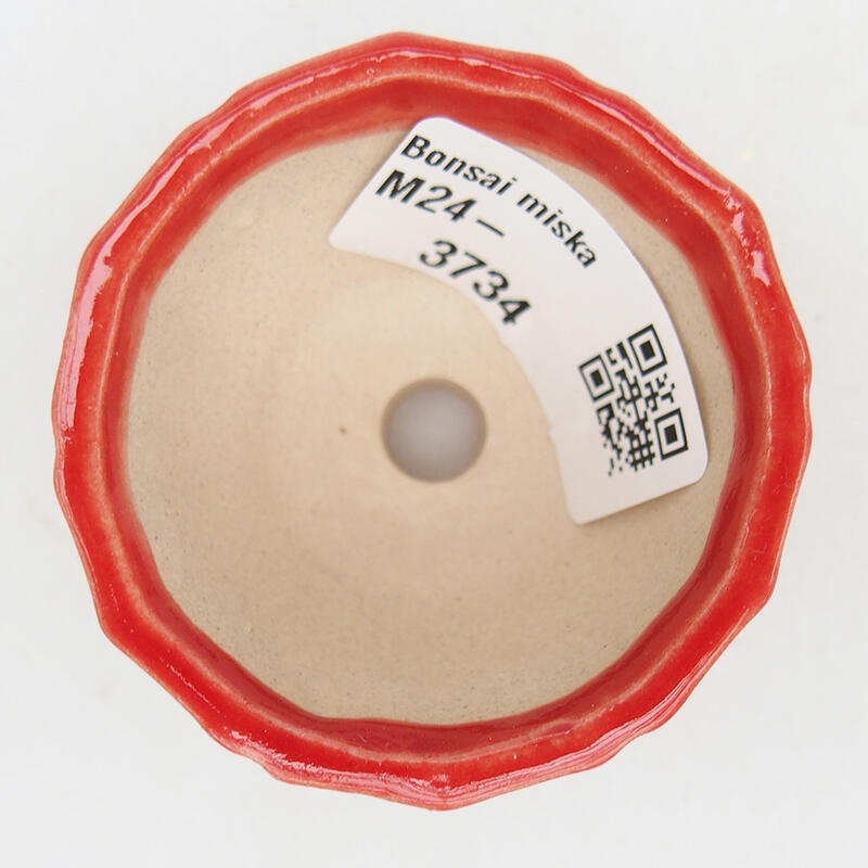 Cuenco bonsái de cerámica 5 x 5 x 3,5 cm, color rojo
