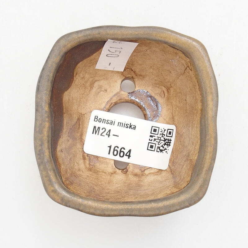Cuenco bonsái de cerámica 6,5 x 6,5 x 3,5 cm, marrón