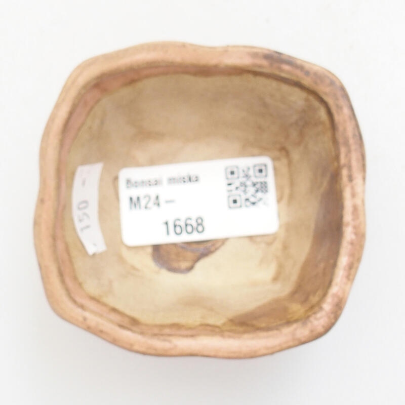 Cuenco bonsái de cerámica 6,5 x 6,5 x 3,5 cm, rosa