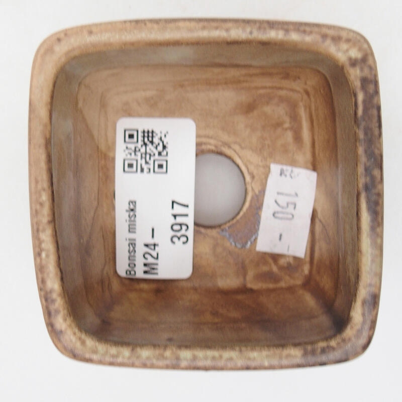 Cuenco bonsái de cerámica 6,5 x 6,5 x 4,5 cm, verde