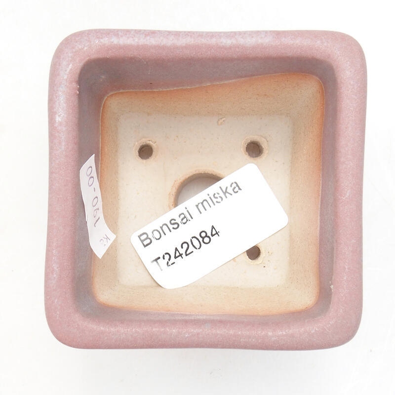Cuenco bonsái de cerámica 6,5 x 6,5 x 5 cm, rosa
