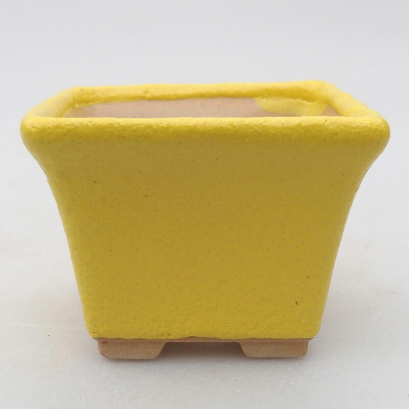 Cuenco bonsái de cerámica 6,5 x 6,5 x 5 cm, amarillo