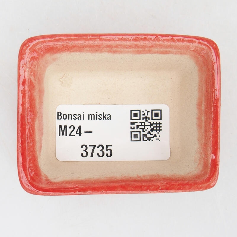 Cuenco bonsái de cerámica 6 x 4,5 x 2,5 cm, color rojo