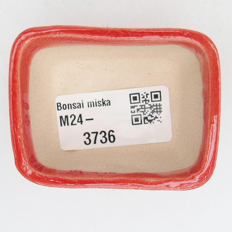 Cuenco bonsái de cerámica 6 x 4 x 3 cm, color rojo