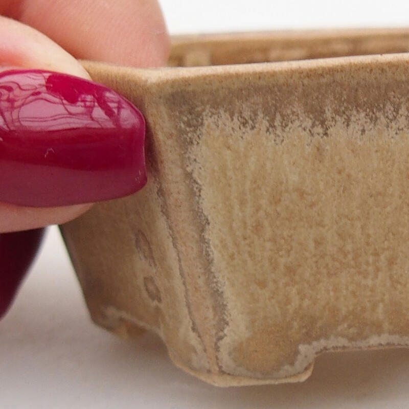 Cuenco bonsái de cerámica 6 x 5,5 x 2,5 cm, color beige