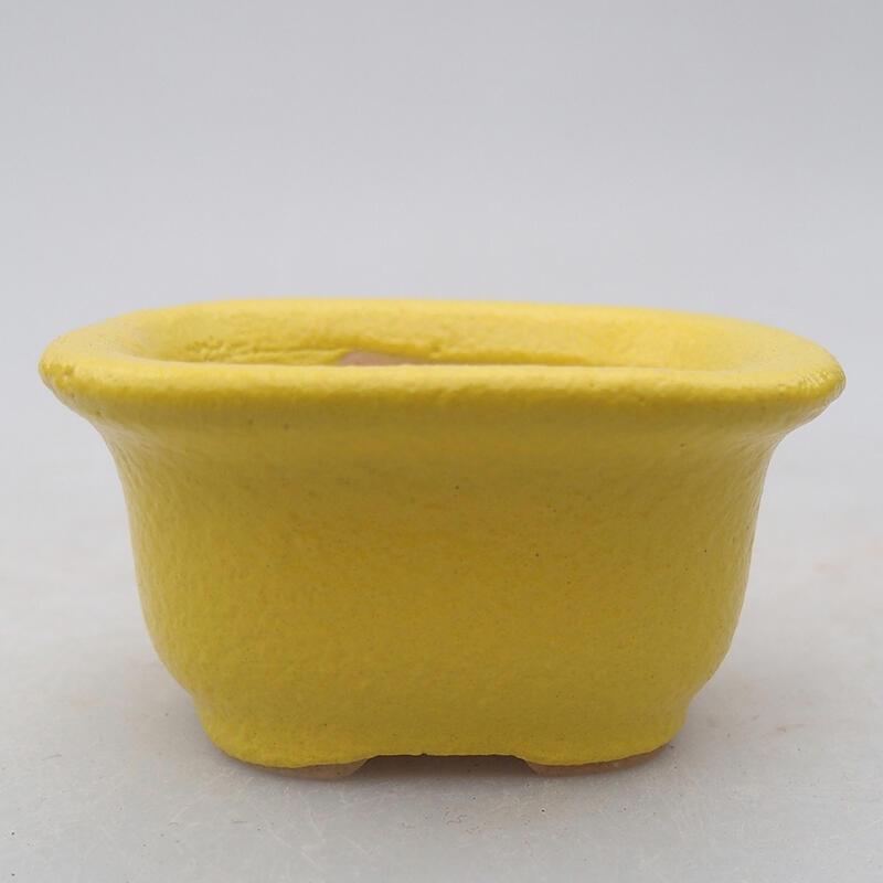 Cuenco bonsái de cerámica 6 x 5 x 3 cm, amarillo