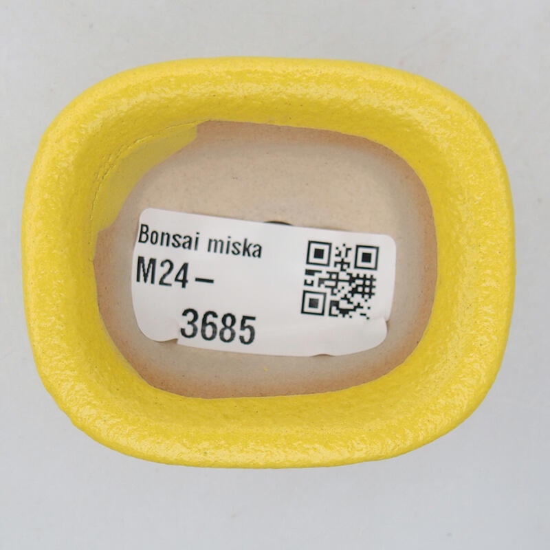 Cuenco bonsái de cerámica 6 x 5 x 3 cm, amarillo