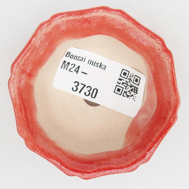 Cuenco bonsái de cerámica 6 x 6 x 2,5 cm, color rojo