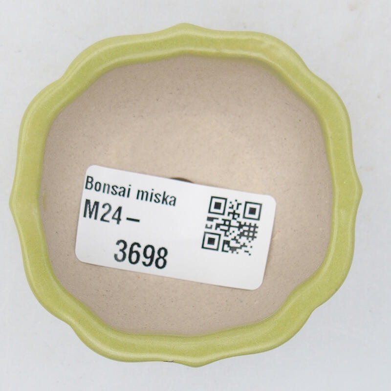 Cuenco bonsái de cerámica 6 x 6 x 3 cm, verde