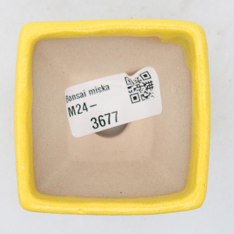 Cuenco bonsái de cerámica 6 x 6 x 4,5 cm, amarillo