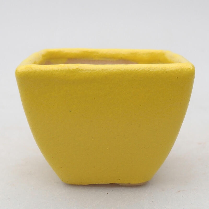 Cuenco bonsái de cerámica 6 x 6 x 4,5 cm, amarillo