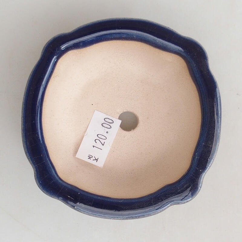 Cuenco bonsái de cerámica 7,5 x 7,5 x 3 cm, color azul