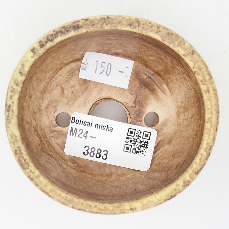 Cuenco bonsái de cerámica 7,5 x 7 x 4 cm, verde