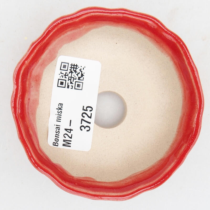 Cuenco bonsái de cerámica 7 x 7 x 2,5 cm, color rojo