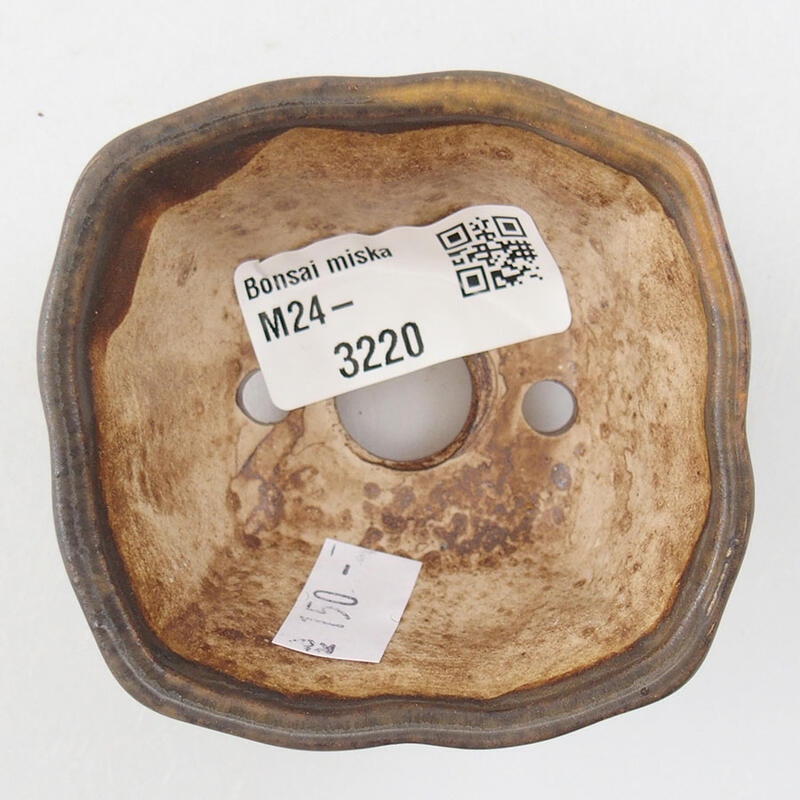 Cuenco bonsái de cerámica 7 x 7 x 3,5 cm, marrón