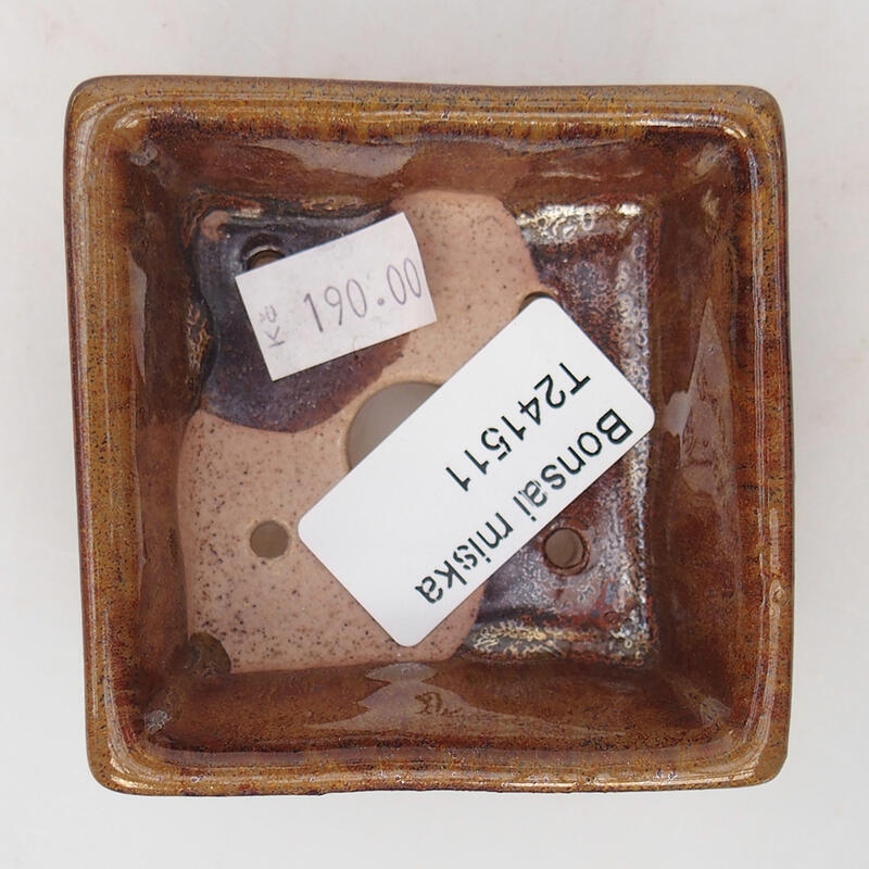 Cuenco bonsái de cerámica 7 x 7 x 3 cm, marrón