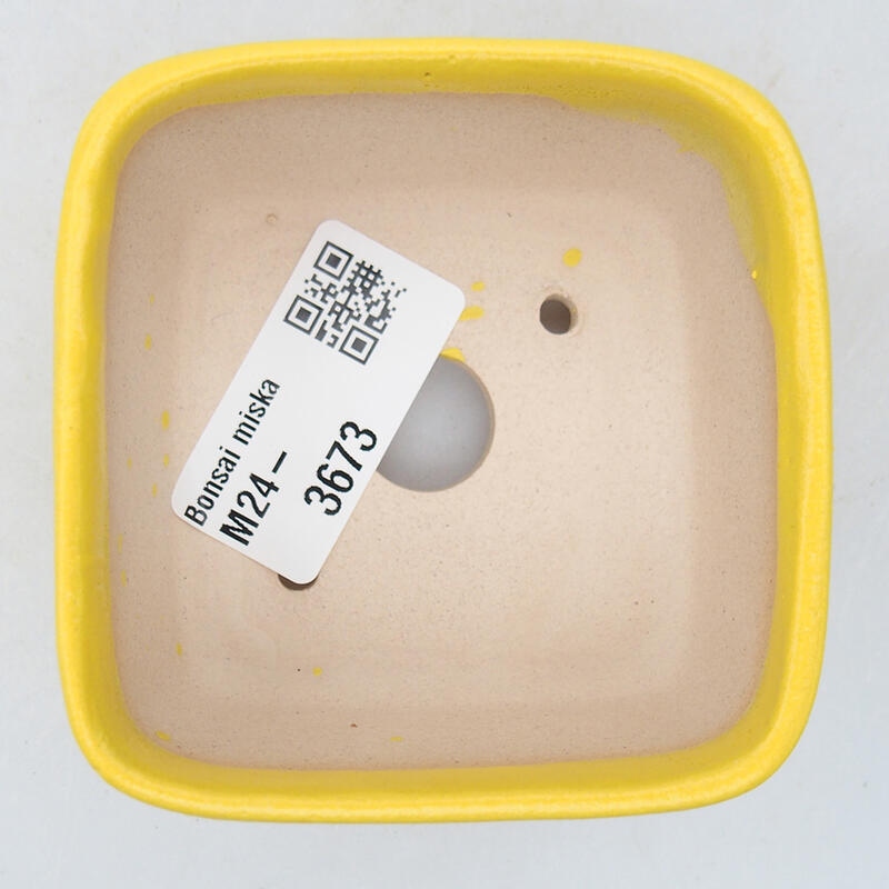 Cuenco bonsái de cerámica 7 x 7 x 4 cm, amarillo
