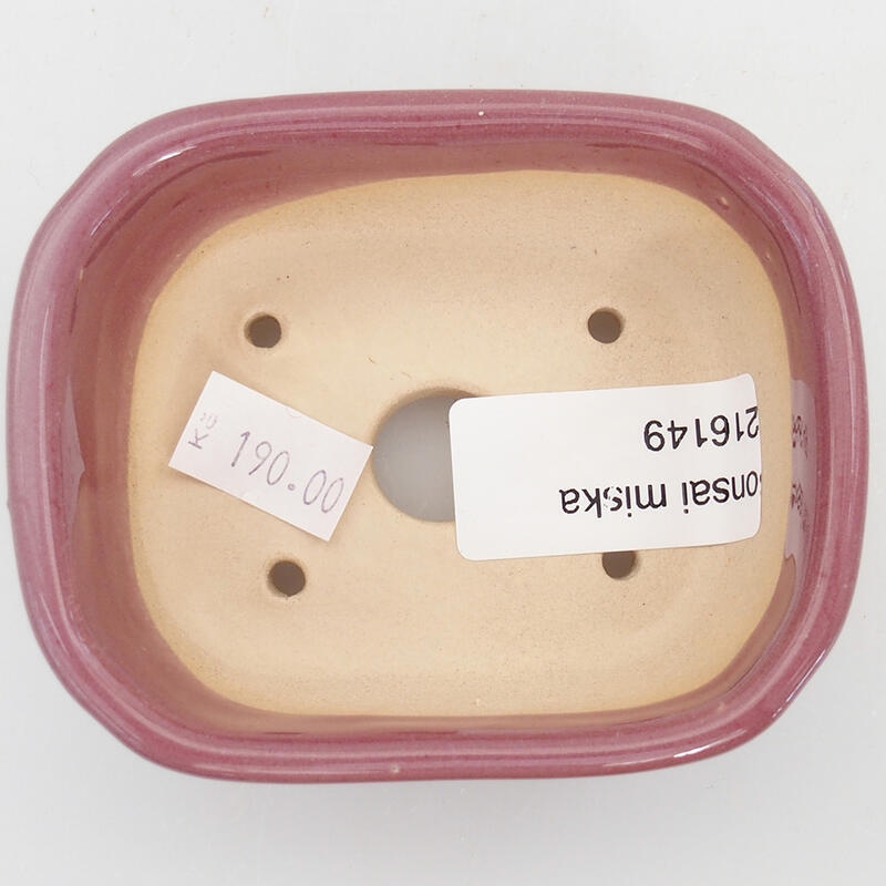 Cuenco bonsái de cerámica 8,5 x 7 x 3,5 cm, color morado