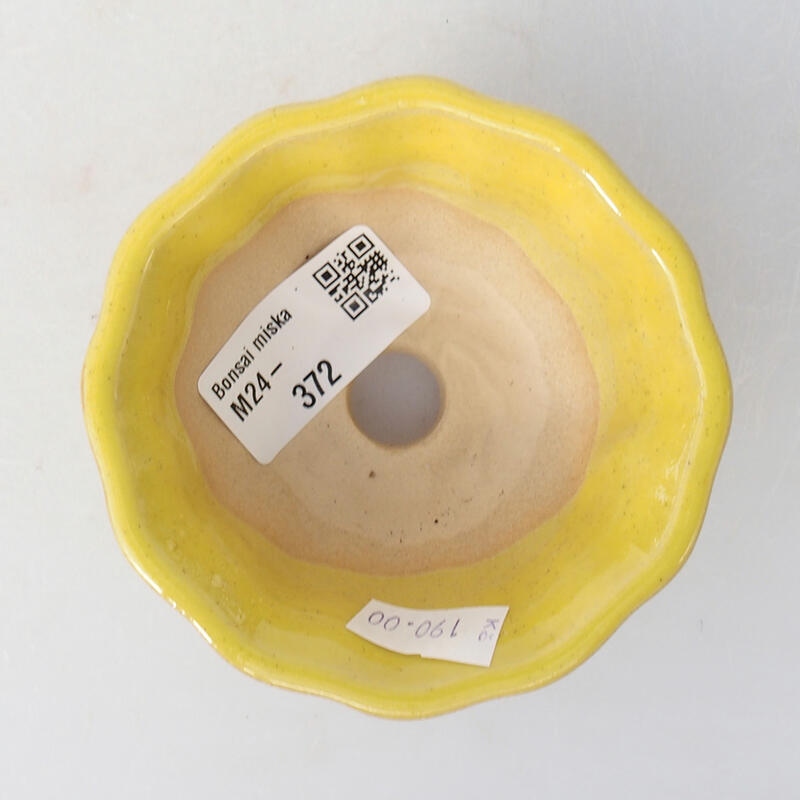Cuenco bonsái de cerámica 8,5 x 8,5 x 4,5 cm, amarillo