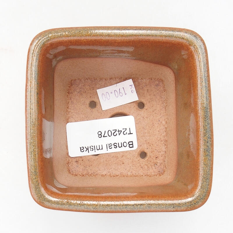 Cuenco bonsái de cerámica 8,5 x 8,5 x 5,5 cm, marrón