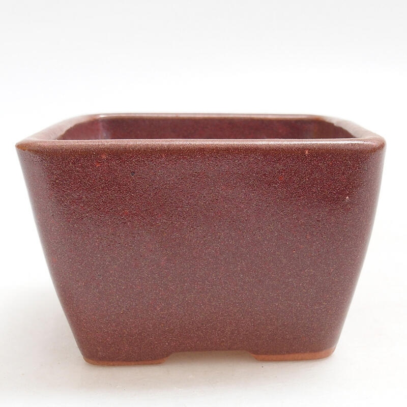 Cuenco bonsái de cerámica 8,5 x 8,5 x 5,5 cm, burdeos