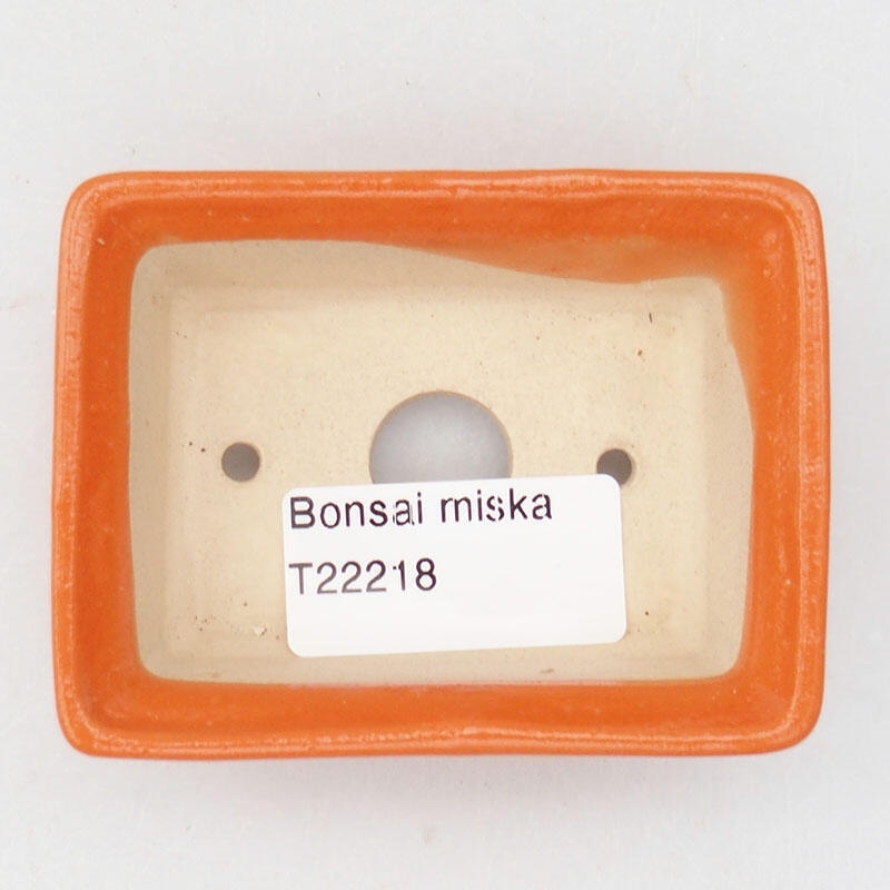Cuenco bonsái de cerámica 8 x 6 x 2,5 cm, naranja