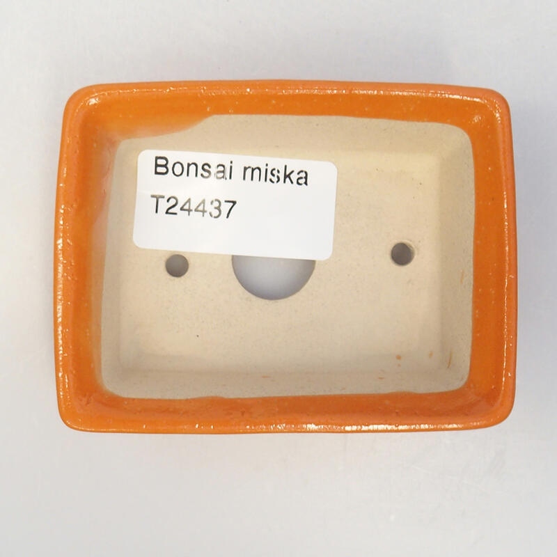 Cuenco bonsái de cerámica 8 x 6 x 3 cm, naranja