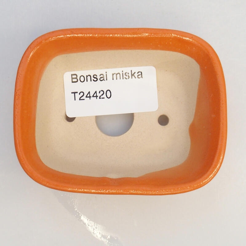 Cuenco bonsái de cerámica 8 x 6 x 3 cm, naranja