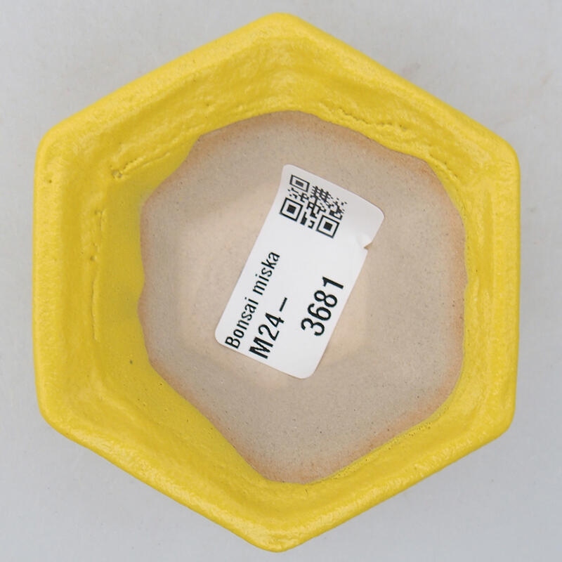 Cuenco bonsái de cerámica 8 x 7,5 x 3 cm, amarillo