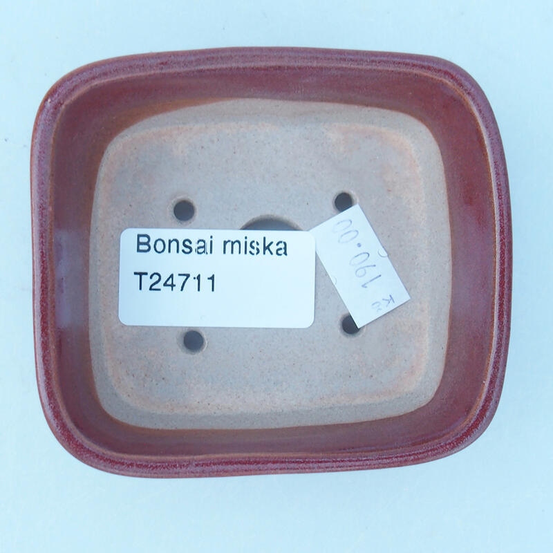 Cuenco bonsái de cerámica 8 x 7 x 3 cm, rosa