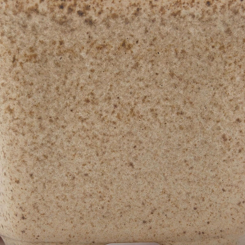 Cuenco bonsái de cerámica 8 x 7 x 4 cm, color beige