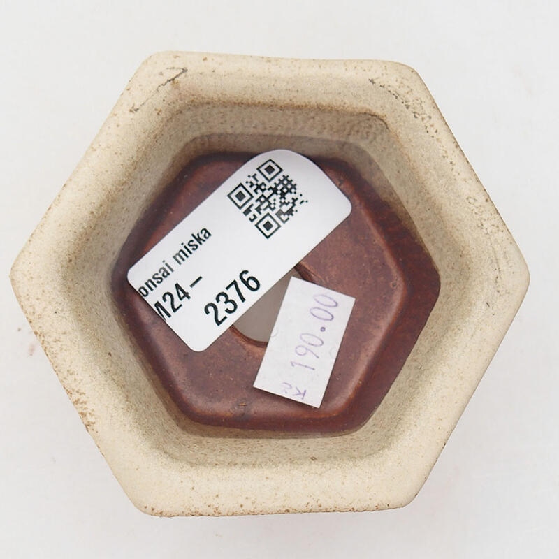 Cuenco bonsái de cerámica 8 x 7 x 4 cm, color beige
